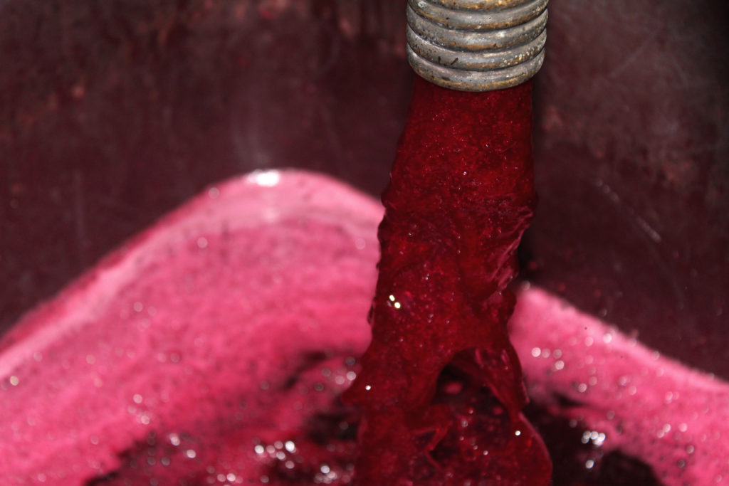 La vinificazione vini rosati