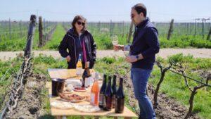 Cantine Losito scelta Bio logica di famiglia